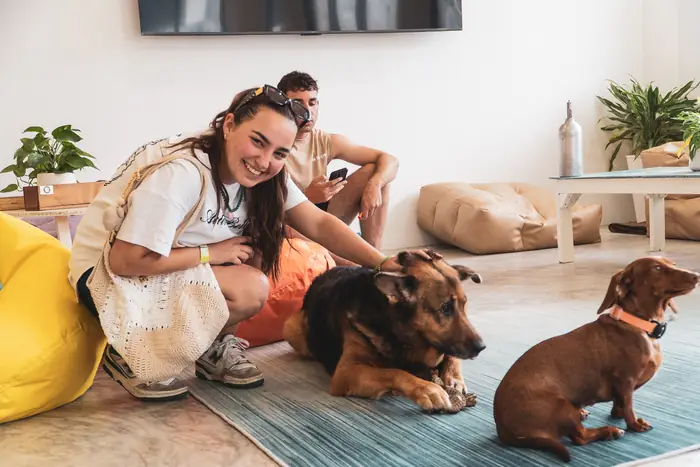 Una huésped acaricia a los dos perros del hostel en la alfombra del salón